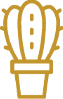 ikona kaktusa